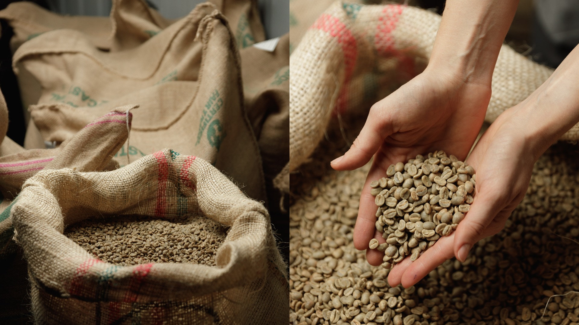 Как определить брак в кофе: признаки некачественного зерна