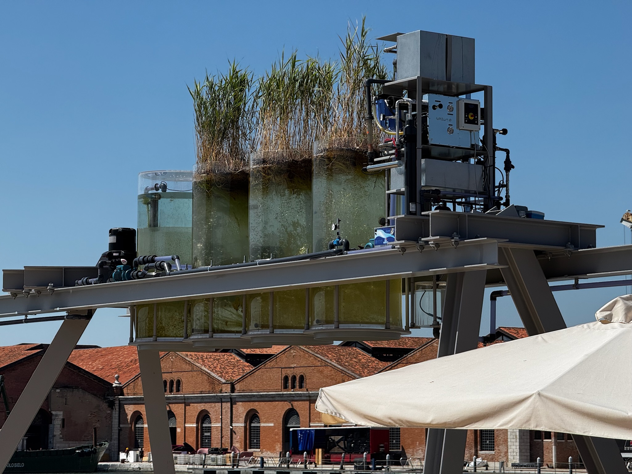 Идеи и призеры Венецианской Архитектурной Биеннале 2025