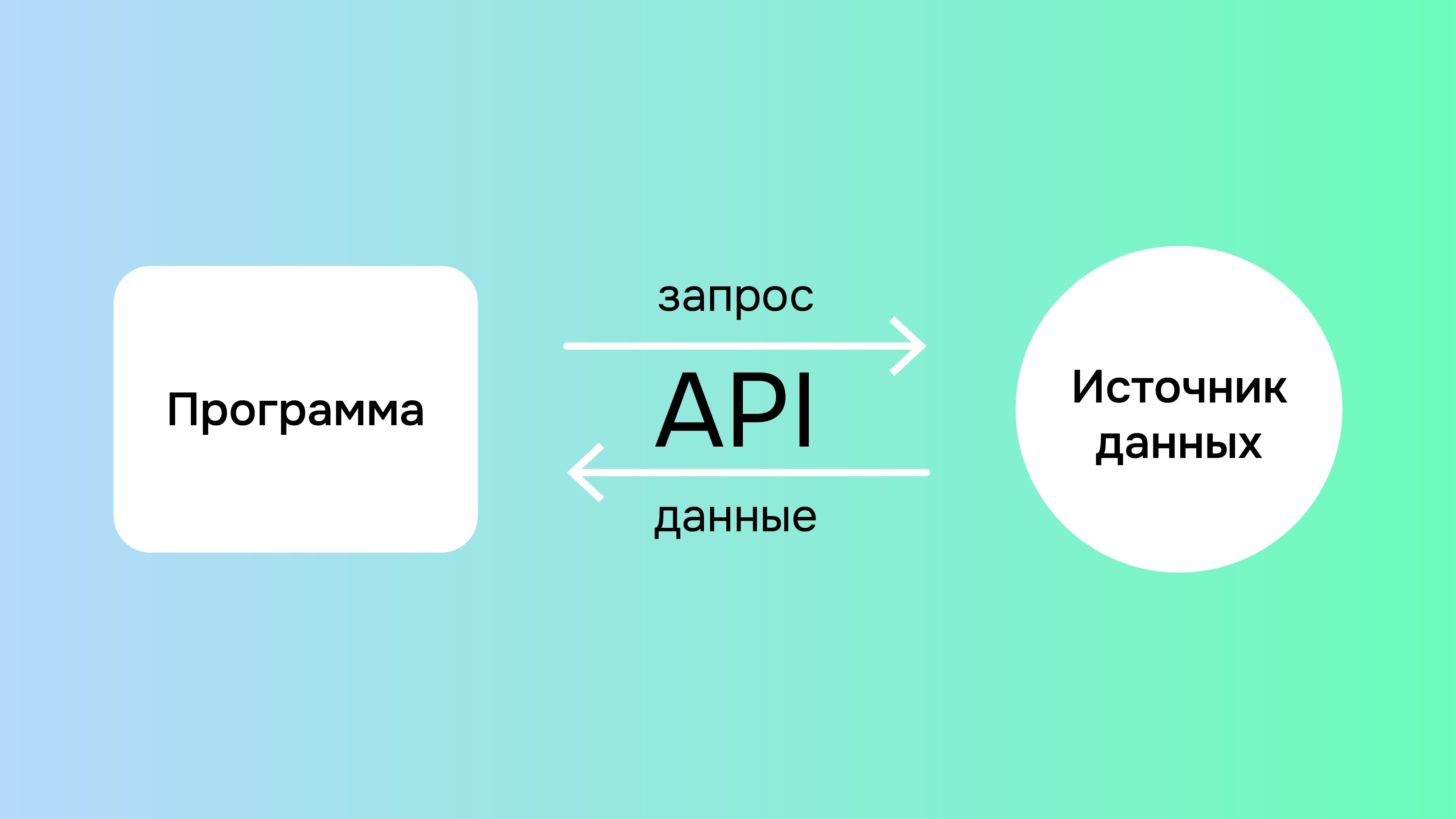 Как бизнесу с автопарком автоматизировать рутину с помощью API на чтение