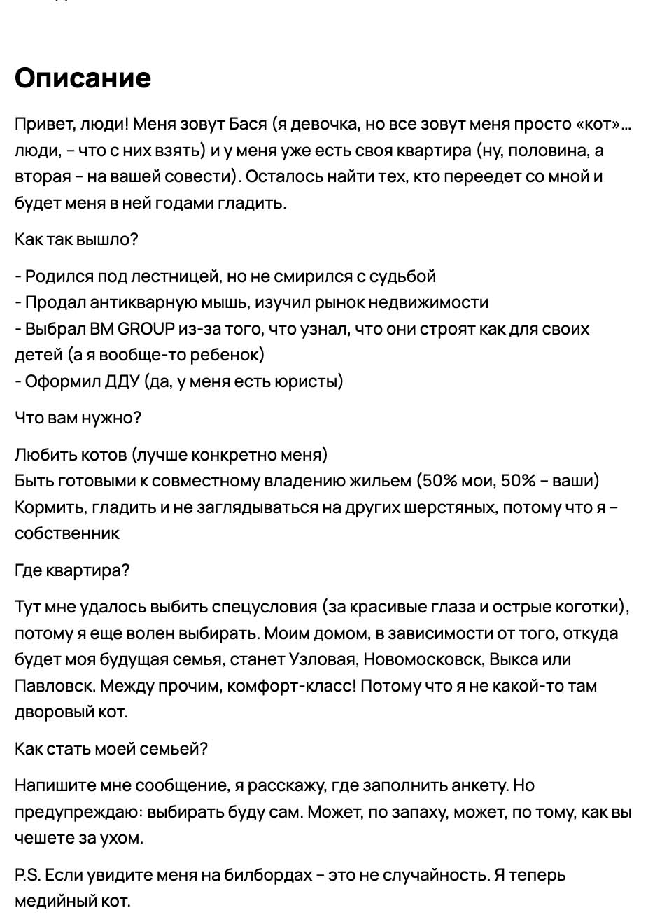 Кошка из приюта стала совладелицей квартиры от BM GROUP