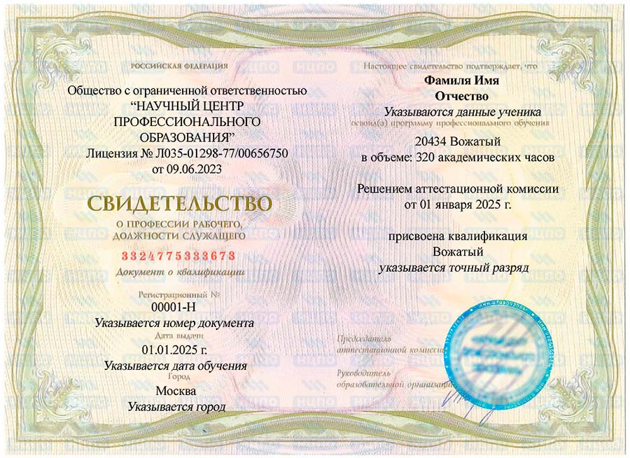 Вожатый в лагерь: где пройти дистанционные (онлайн) вожатские курсы