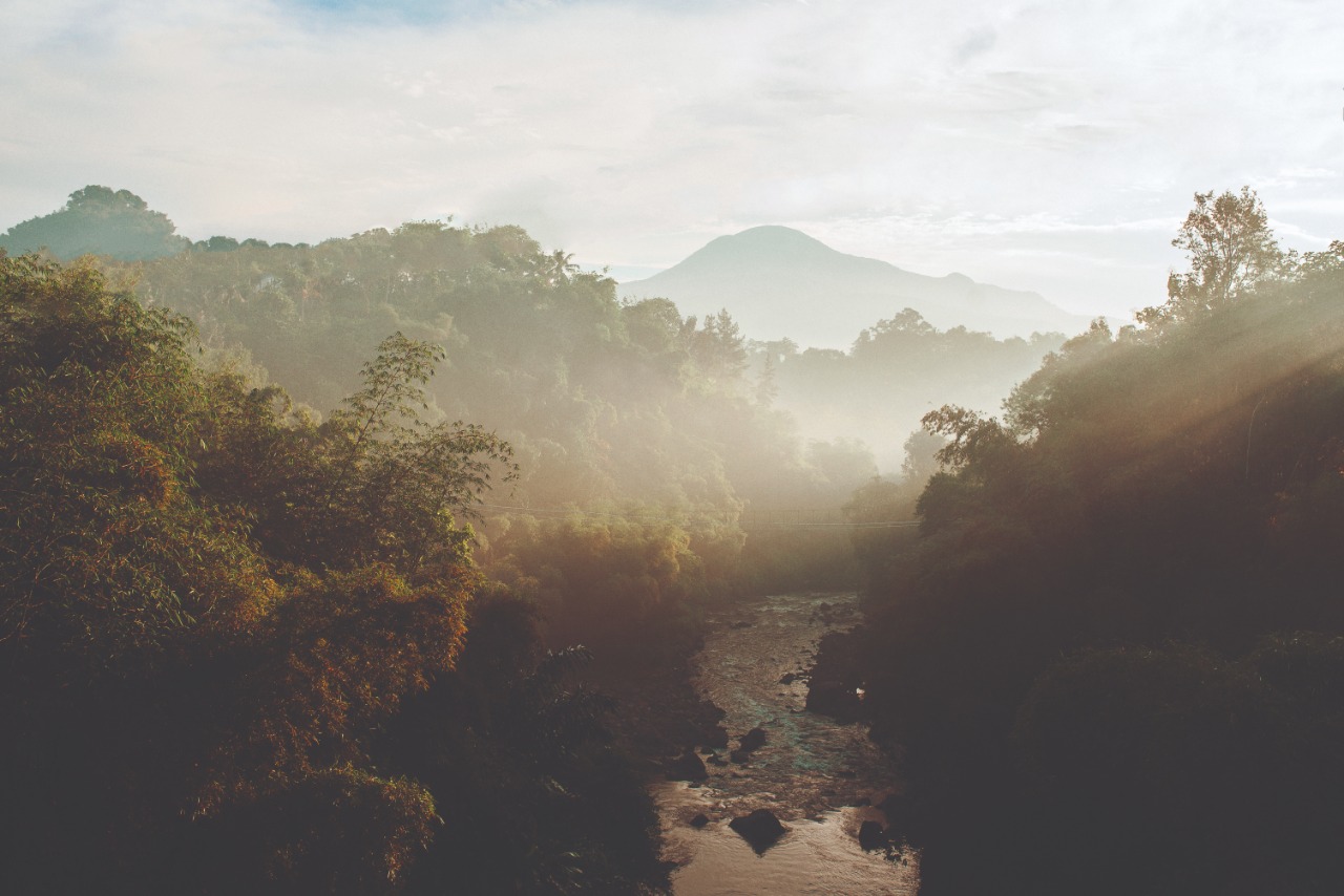 Как сократить выбросы CO2 без потери эффективности: опыт AstraZeneca