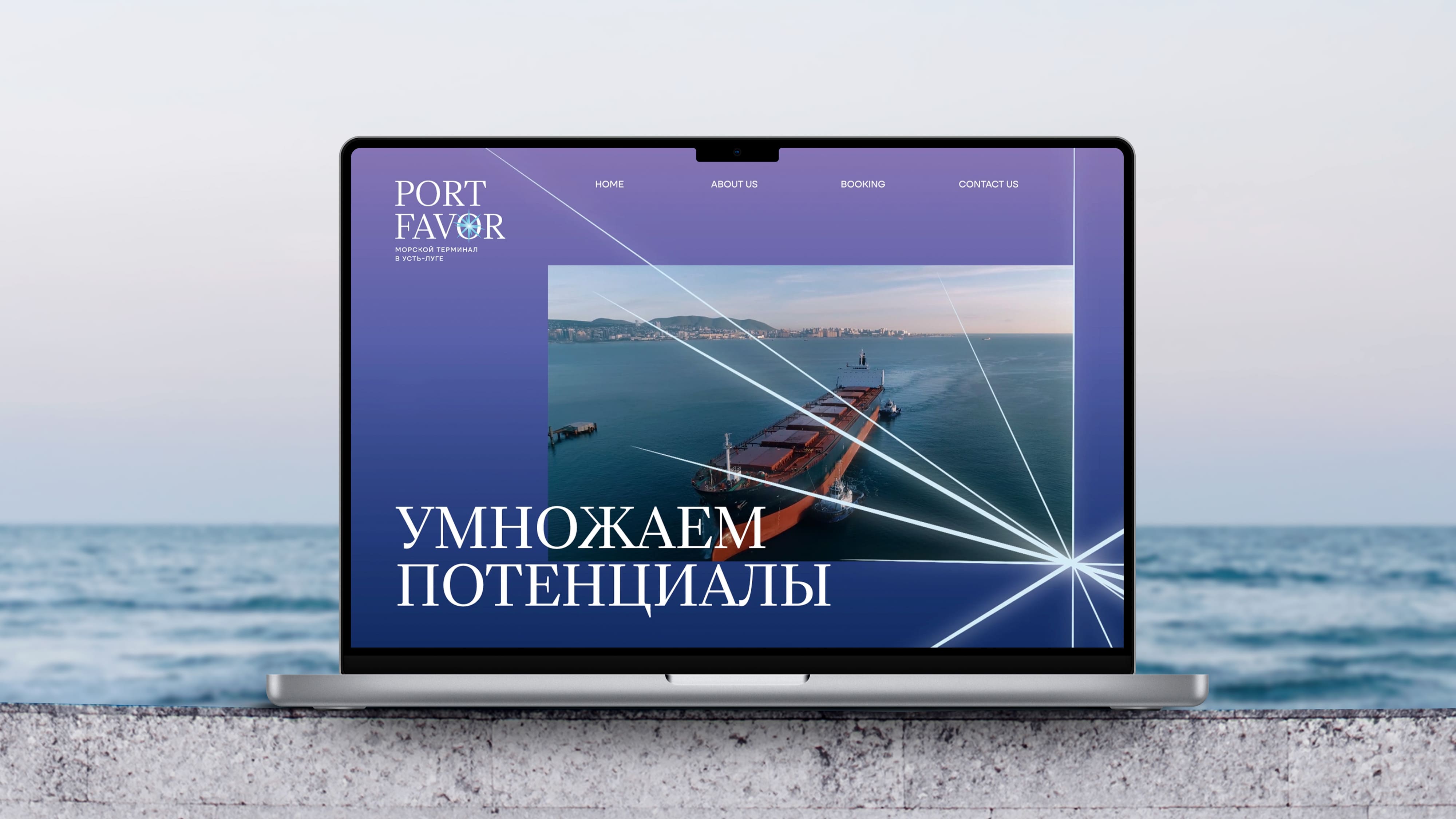 Разработка бренда морского терминала Port Favor