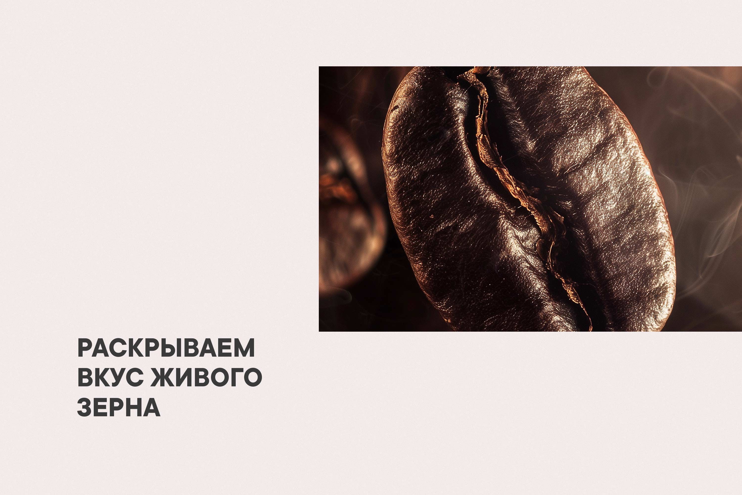Как ребрендинг помог «Живому кофе» заявить о своем главном преимуществе