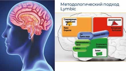 Как нейромаркетинг и AI применяются в освещении торговых пространств