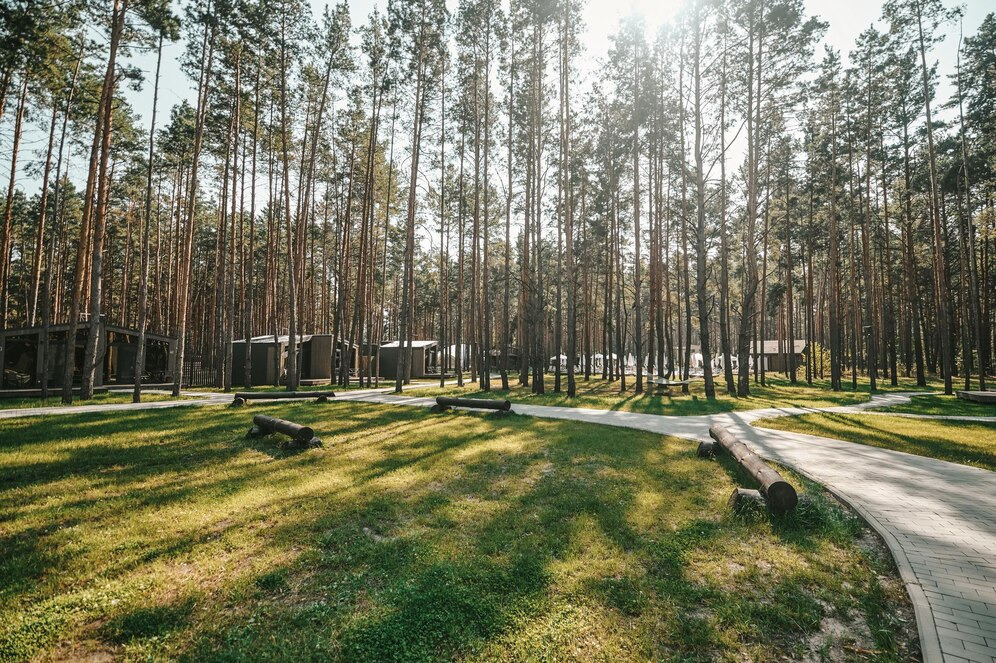 Как внедрить зеленые маршруты для пешеходов и велосипедистов в городе