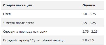 Искусственный интеллект в сельском хозяйстве и агропромышленности