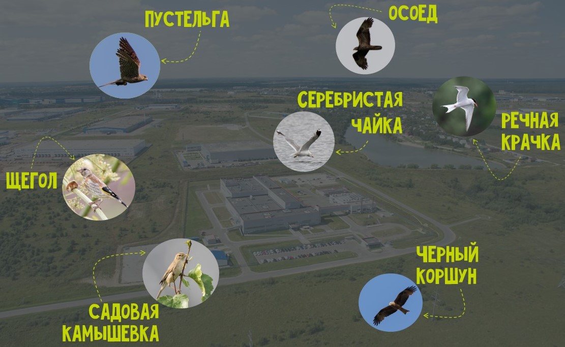 Как мотивировать сотрудников повышать уровень экобезопасности завода