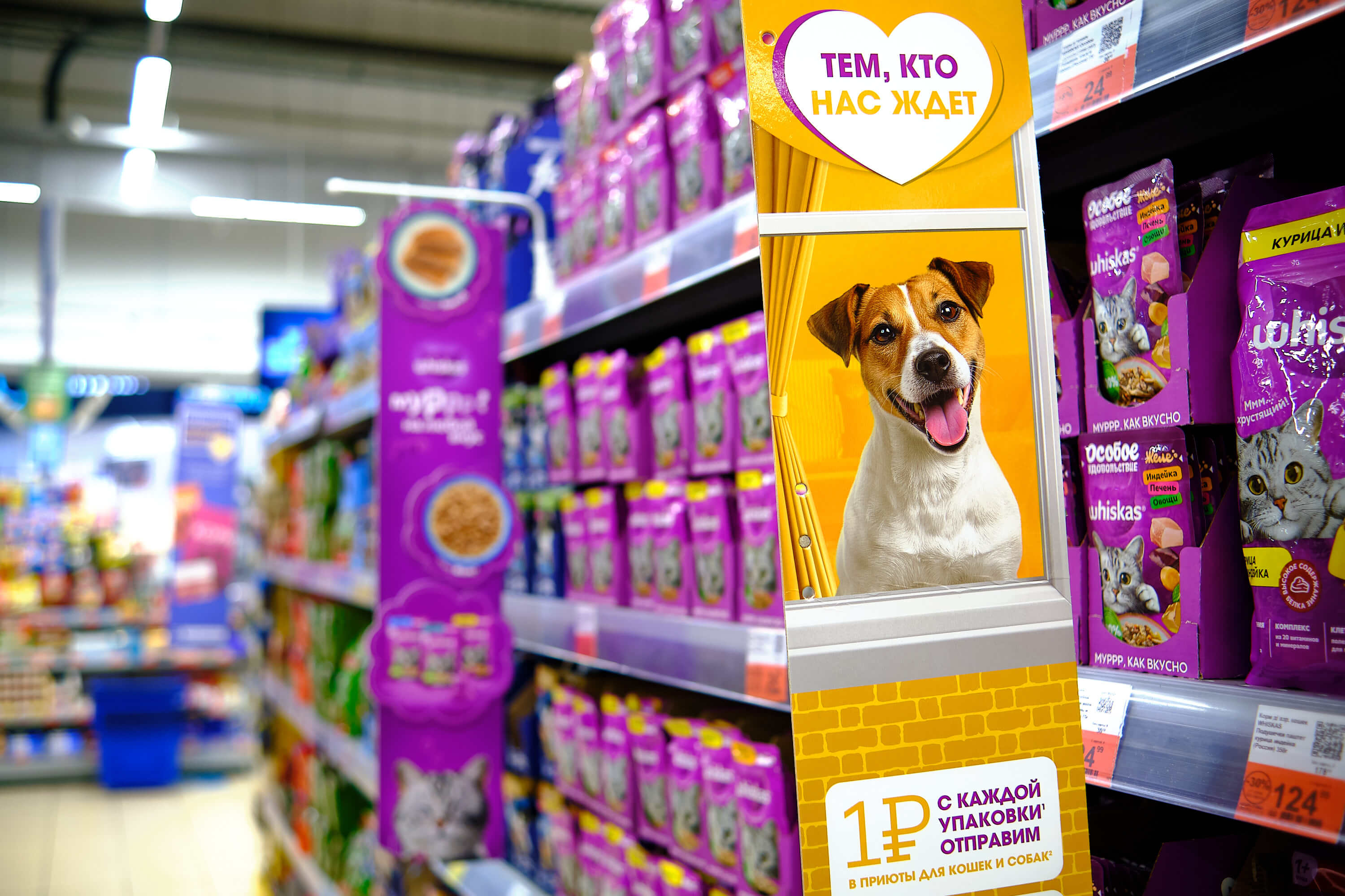 Что бизнесу нужно знать про маркировку кормов для животных