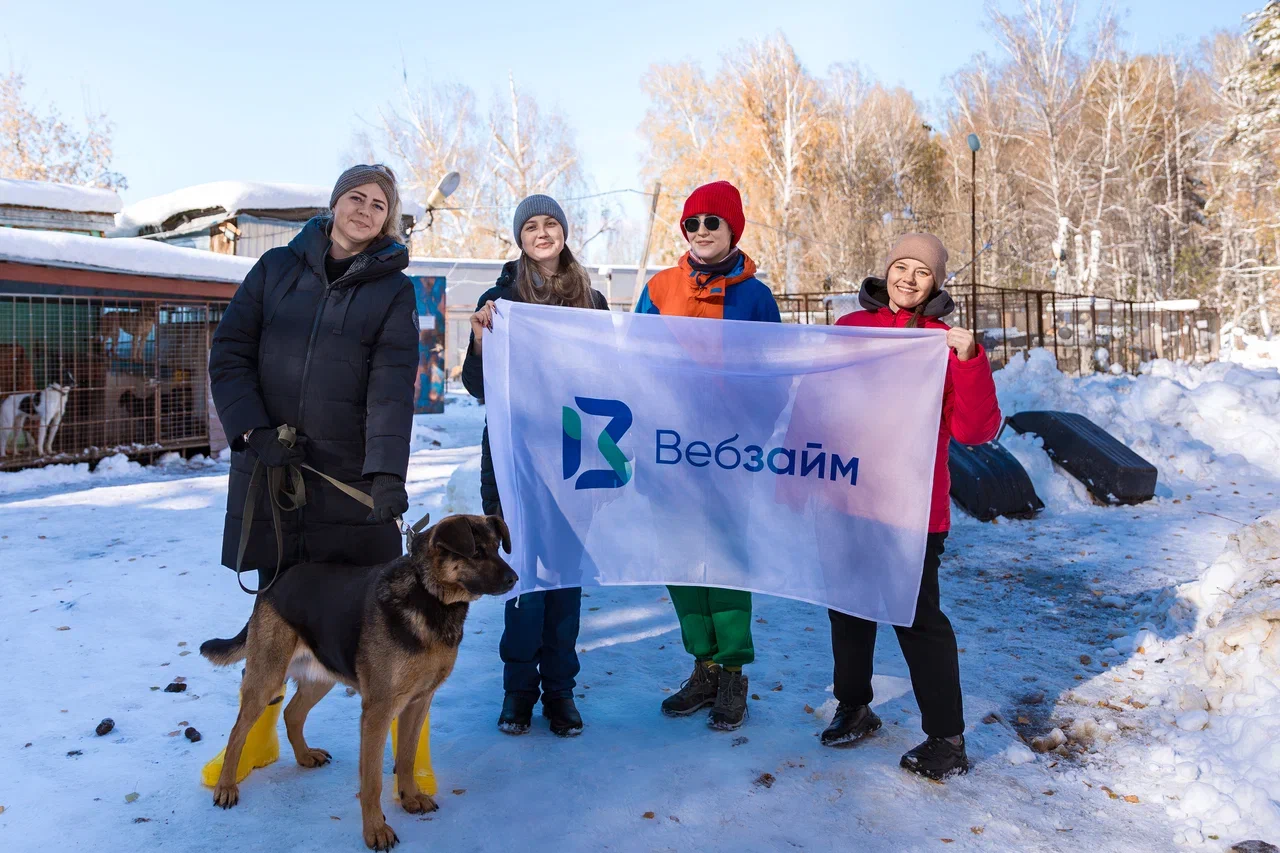 ВебЗайм поддержал приют НРОО «Защита прав животных на жизнь»