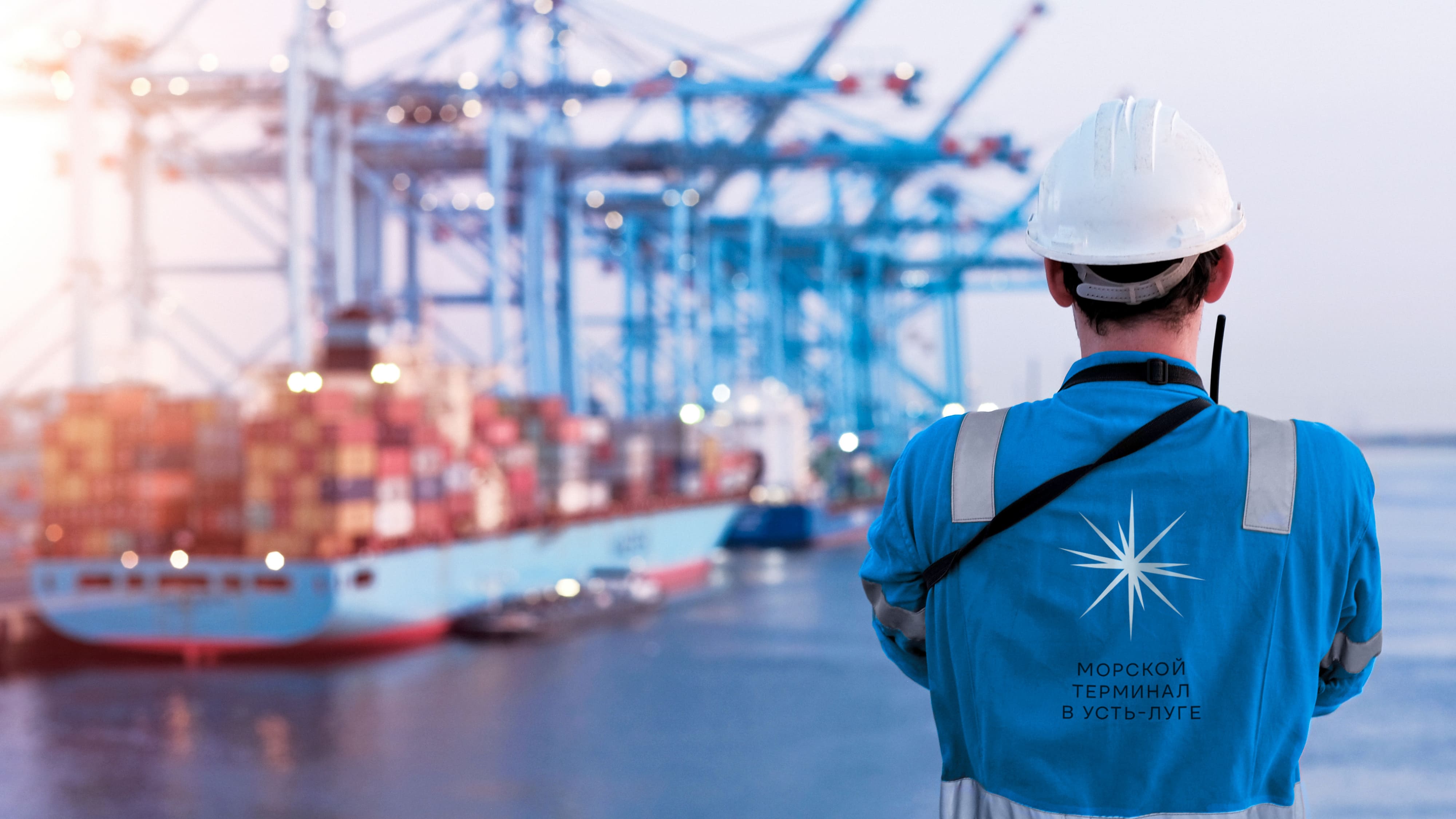 Разработка бренда морского терминала Port Favor
