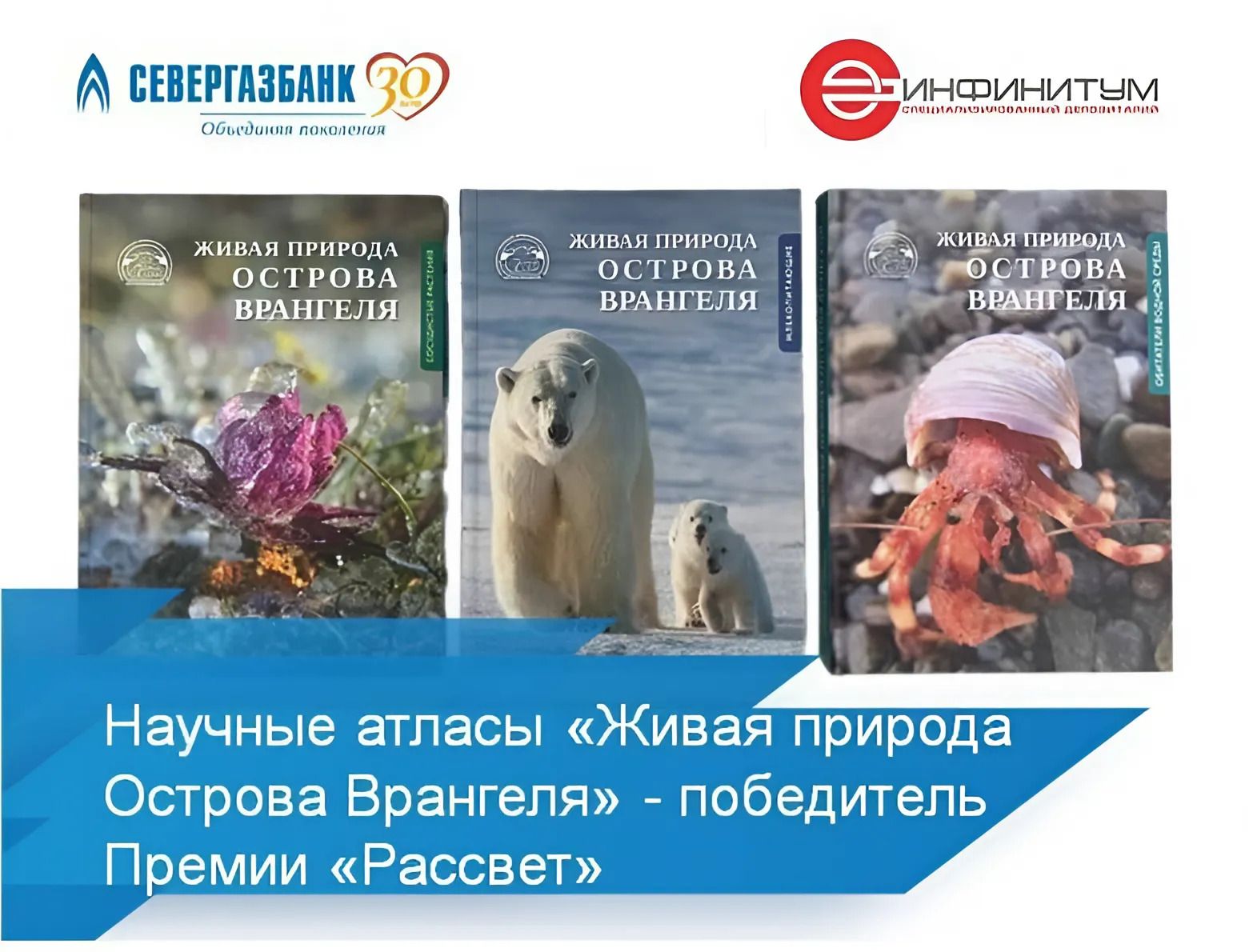 Проект, поддержанный ИНФИНИТУМ, стал победителем премии «Рассвет»