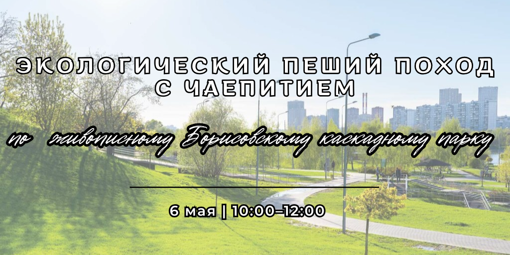 Экологический пеший поход с чаепитием в Москве в честь 80-летия Победы