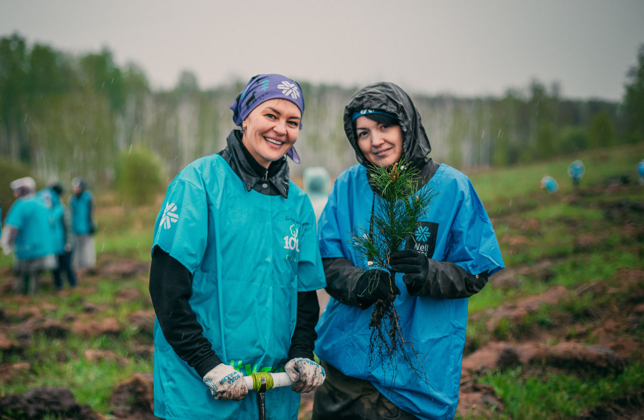Siberian Wellness подвела итоги лесоклиматического проекта «100 га»
