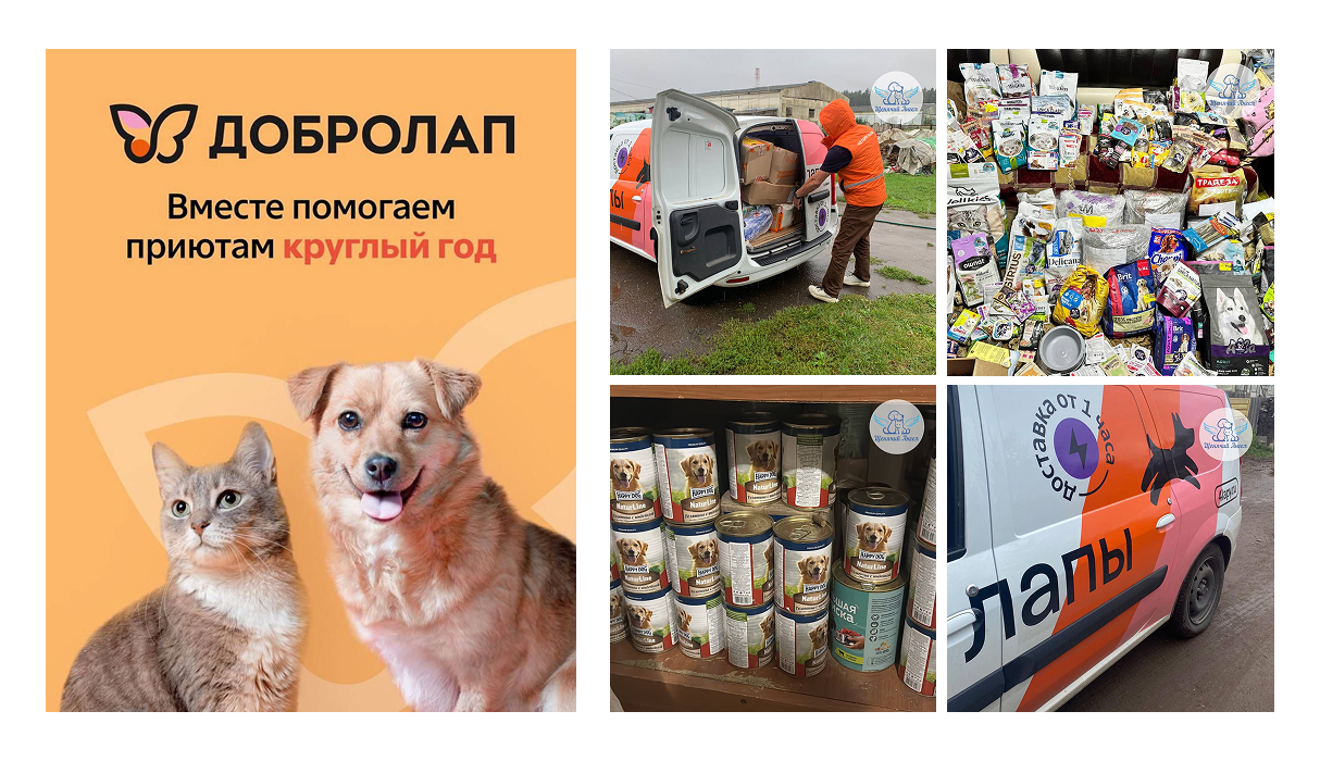 Корпоративная благотворительность в сфере помощи животным: польза, формат