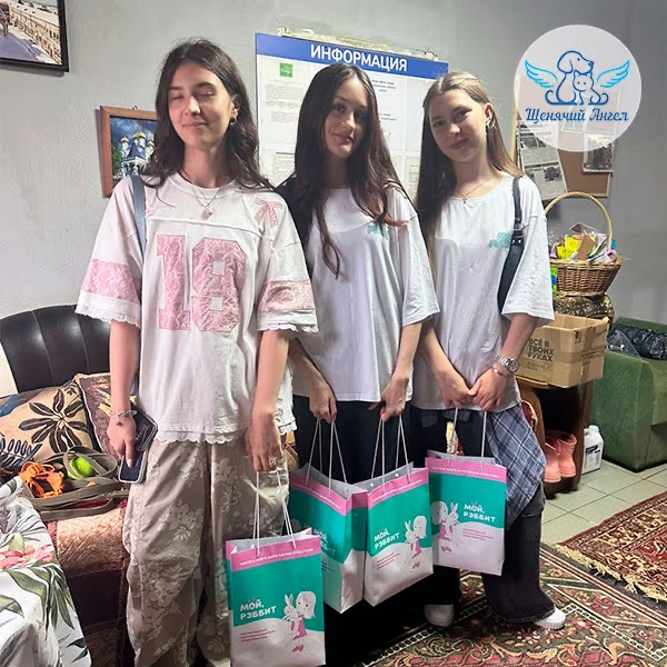 Как предприниматель может помочь фонду и животным без денег