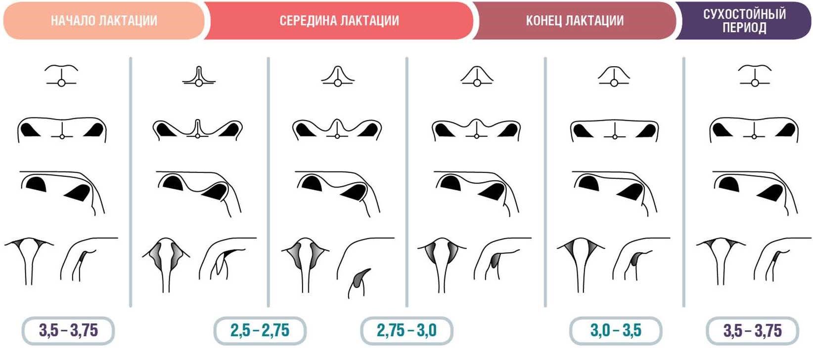 Искусственный интеллект в сельском хозяйстве и агропромышленности