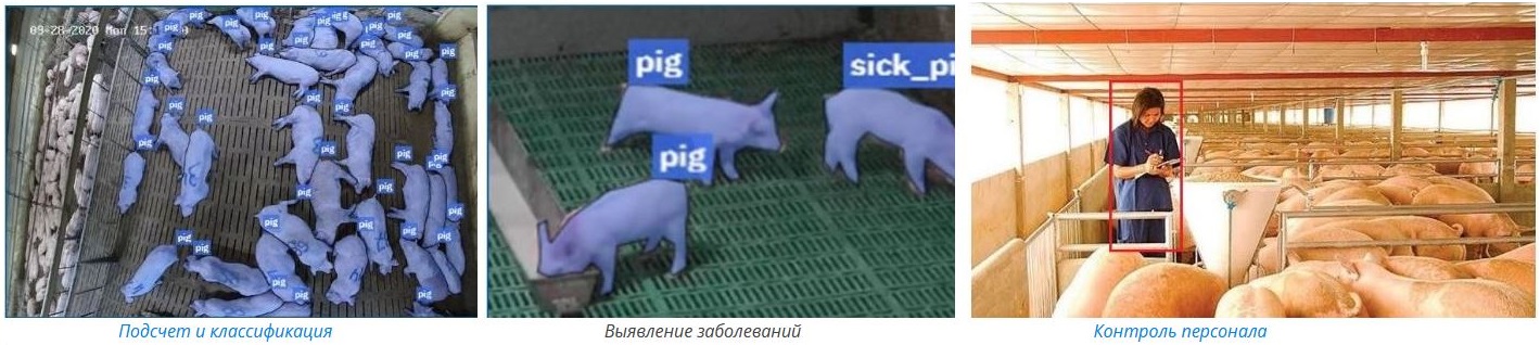 Искусственный интеллект в сельском хозяйстве и агропромышленности