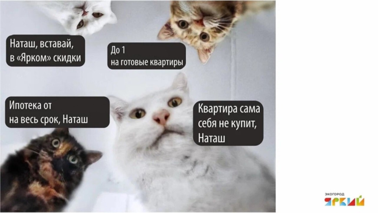 Как data-driven-подход и сквозная аналитика сократили CPL почти в 4 раза