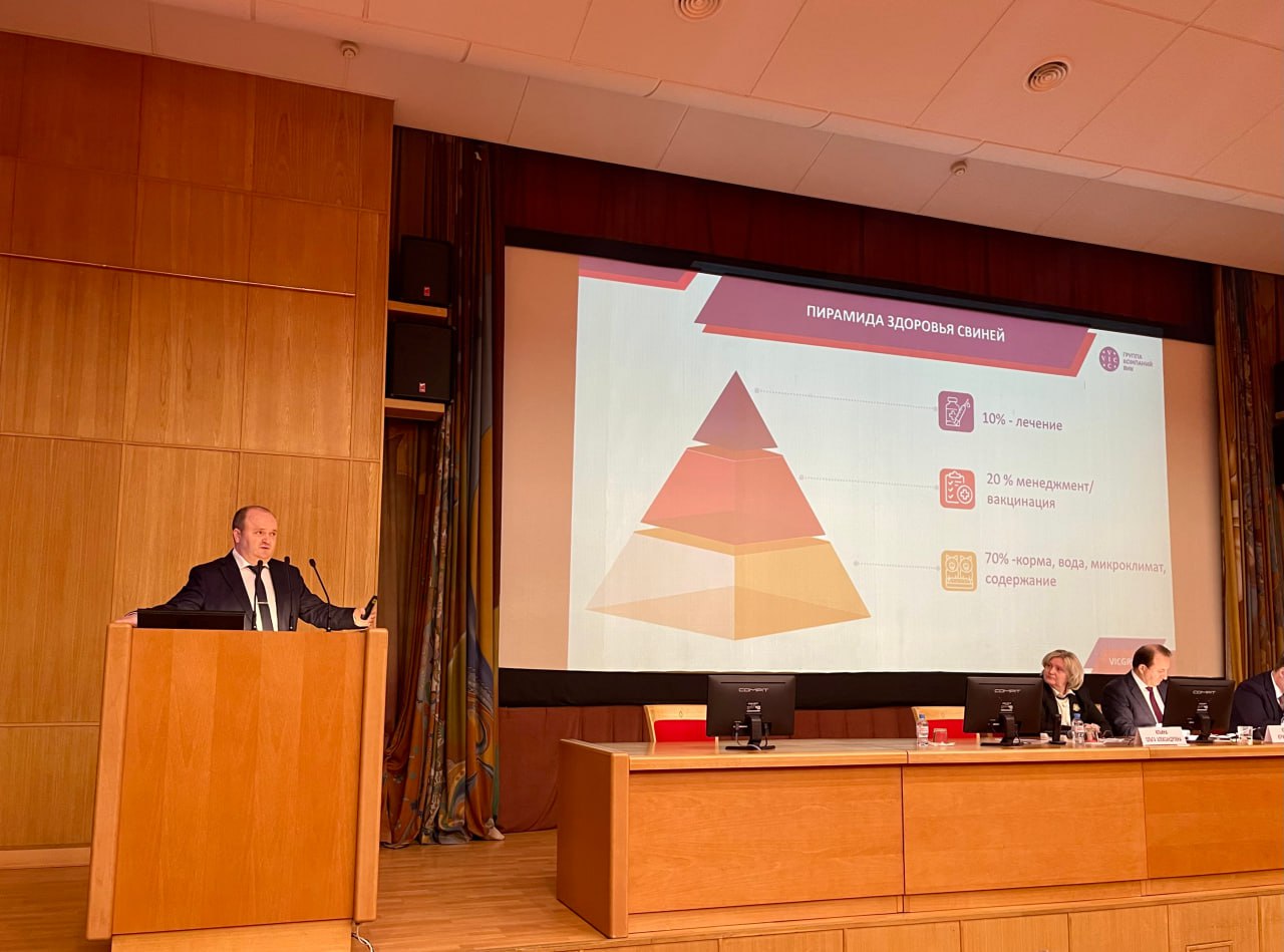 ГК ВИК на Международной конференции «Свиноводство-2025»