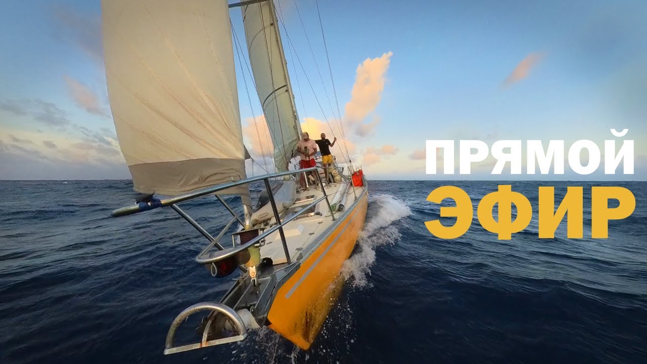 Компания АРХИВУД стала партнером проекта «Кругосветчики»