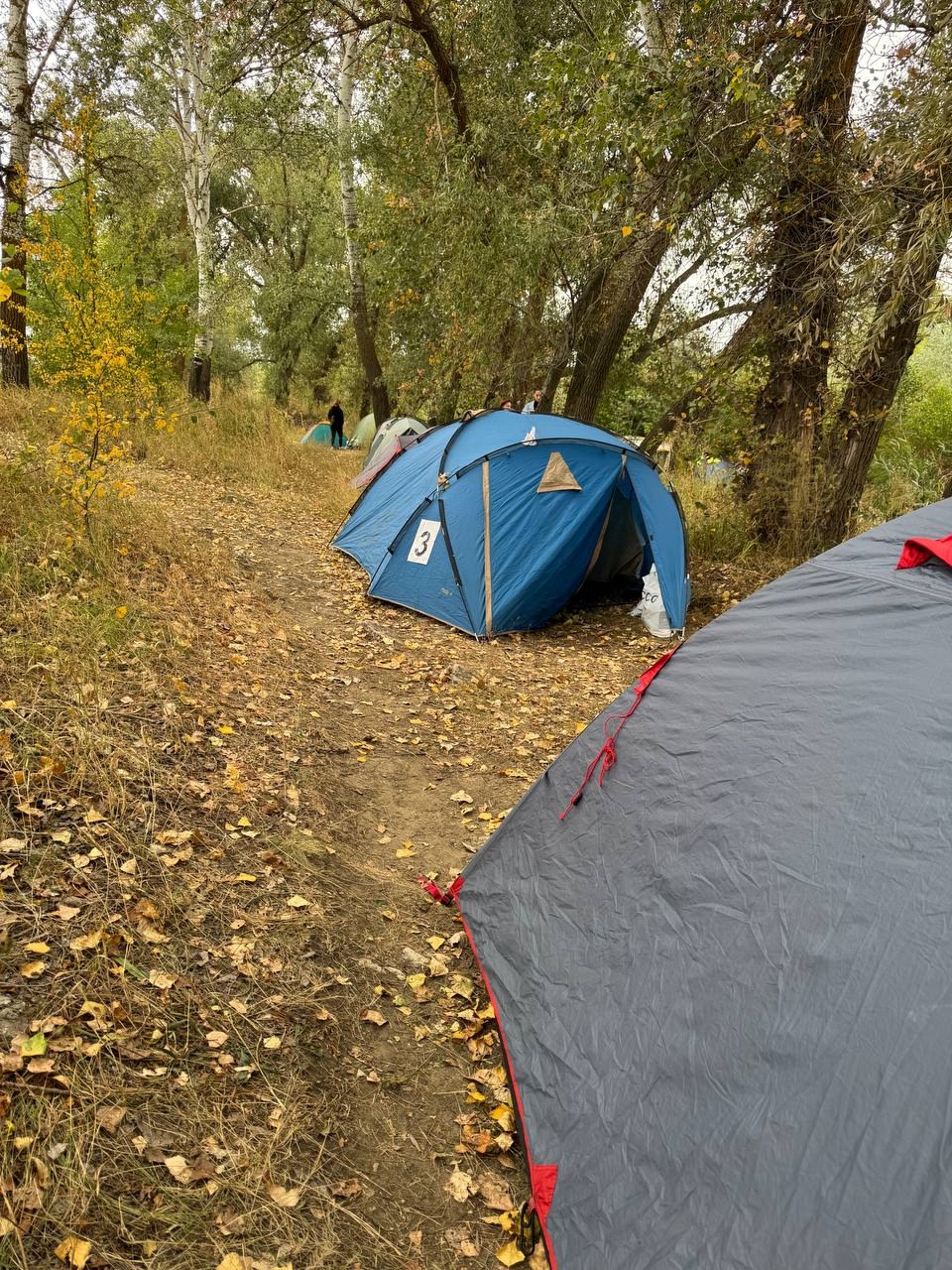 Компания «Абак-2000» провела сплав-конференцию по реке Медведица