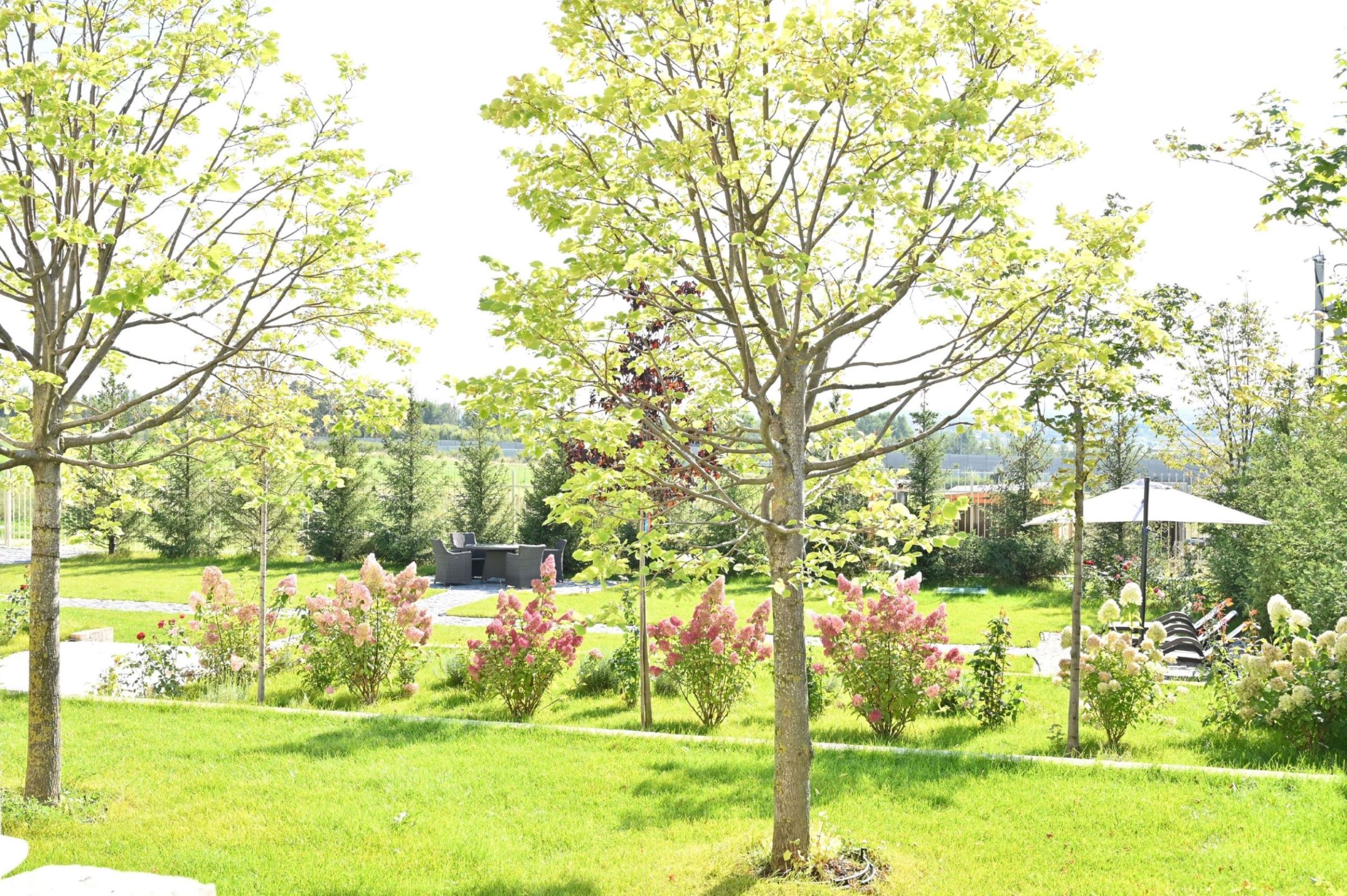 Виорика Осипова открыла офис в саду собственной усадьбы на Новой Риге