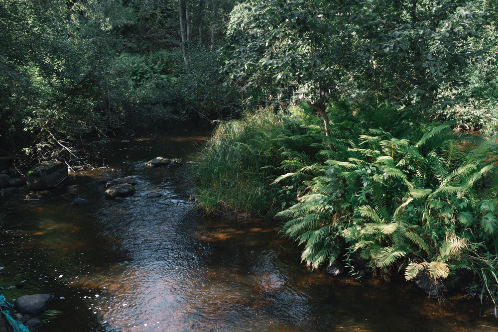 «Эксперт РА» присвоил компании SPLAT Global рейтинг ESG на уровне ESG-АА