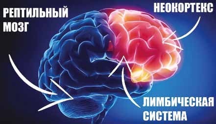 Как нейромаркетинг и AI применяются в освещении торговых пространств