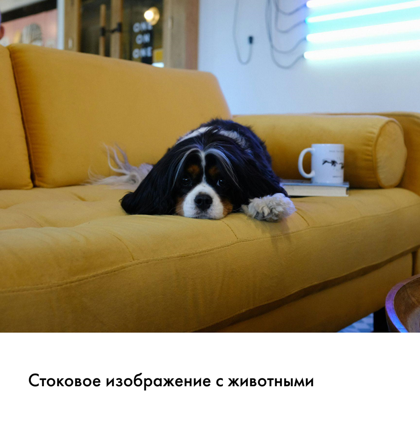 Как бизнесу с помощью нейроинструментов улучшить контент в соцсетях