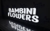 Опыт открытия по франшизе Bambini Flowers: из оптовой торговли в цветы