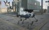 В Гоби робот-собака автоматизировал обходы ветроподстанции