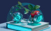 Axoft_KIT