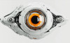 Angara ECHO