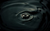 Цена нефти Brent может уйти ниже $50 за баррель