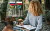 ICS Consulting