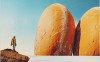 Открыть планету Breadbery: бренд пекарни в Молдове