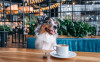 Pet-friendly как стратегия: как повысить прибыль ресторанов