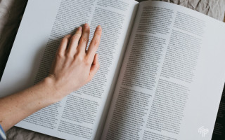 Long-read или короткие статьи: что лучше для SEO в 2025 году