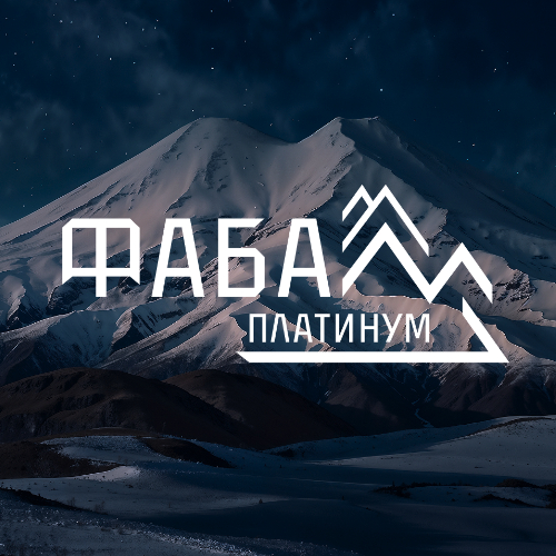 Логотип ФАБА «ПЛАТИНУМ» 1237200022179 логотип ФАБА «ПЛАТИНУМ» 1237200022179
