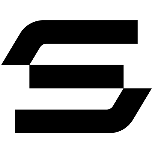 логотип Security Vision 5157746309518