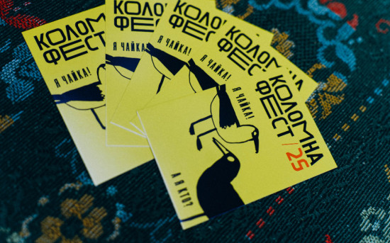 Fizika Development представила новый объект на фестивале «Коломна Фест»