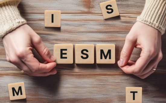 ESM для СМБ