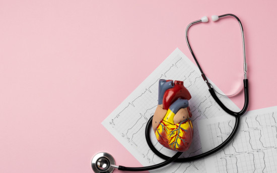 Какие вещества помогают укрепить сердечно-сосудистую систему