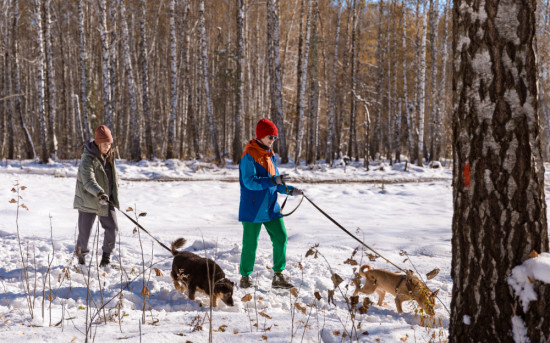 «ВебЗайм» получил премию НАУМИР за лучший зооэкологический проект