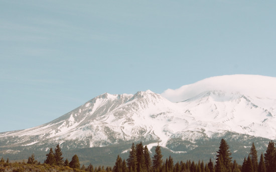 28 января в Bosco Аптеке состоится клиентский день Biogena