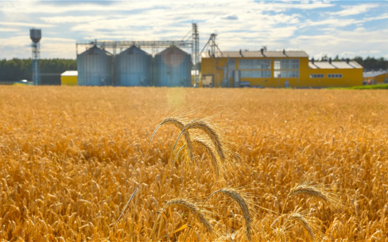 Как сохранить урожай в зернохранилищах