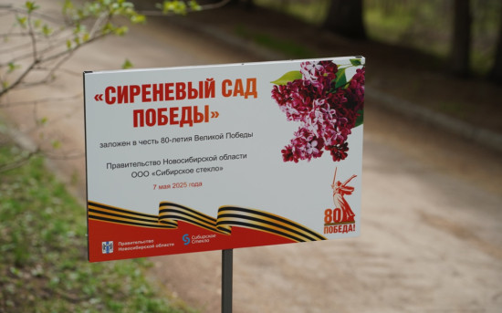 Sibsteklo Sad Pobedy