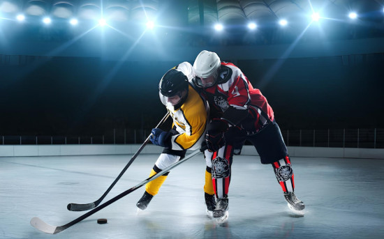 Федерация хоккея