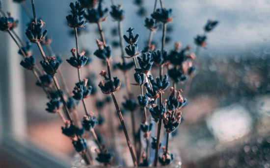 Biogena разработала протокольные решения для клиники Kraftway